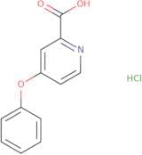 4-Phenoxypyridine-2-carboxylic acid hydrochloride