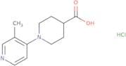 1-(3-Methylpyridin-4-yl)piperidine-4-carboxylic acid hydrochloride