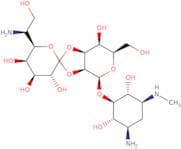 Hygromycin B - min 90%