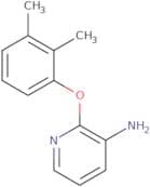 3-Amino-2-(2,3-dimethylphenoxy)pyridine