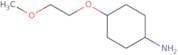 trans-4-(2-Methoxyethoxy)cyclohexanamine ee