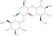 Kanamycin B