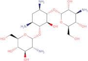 Kanamycin C