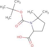 1-[(tert-butoxy)carbonyl]-5,5-dimethylpyrrolidine-2-carboxylic acid