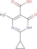 2-Cyclopropyl-4-methyl-6-oxo-1,6-dihydropyrimidine-5-carboxylic acid