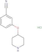 3-(Piperidin-4-yloxy)benzonitrile hydrochloride