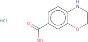 3,4-Dihydro-2H-1,4-benzoxazine-7-carboxylic acid hydrochloride