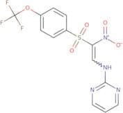 1-nitro-2-(pyrimidin-2-ylamino)-1-((4-(trifluoromethoxy)phenyl)sulfonyl)ethene