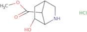 rac-Methyl (1R,4R,6R,7S)-6-hydroxy-2-azabicyclo[2.2.1]heptane-7-carboxylate hydrochloride