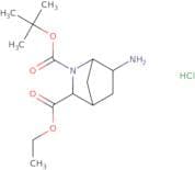 rac-2-tert-Butyl 3-ethyl (1R,3R,4R,6S)-6-amino-2-azabicyclo[2.2.1]heptane-2,3-dicarboxylate hydroc…
