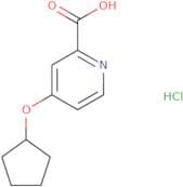 4-(Cyclopentyloxy)pyridine-2-carboxylic acid hydrochloride