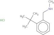 [(2-tert-Butylphenyl)methyl](methyl)amine hydrochloride