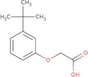 2-(3-tert-Butylphenoxy)acetic acid
