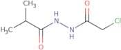 N'-(2-Chloroacetyl)-2-methylpropanehydrazide