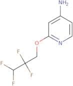 2-(2,2,3,3-Tetrafluoropropoxy)pyridin-4-amine