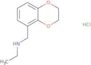 (2,3-Dihydro-1,4-benzodioxin-5-ylmethyl)(ethyl)amine hydrochloride