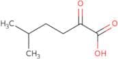 5-Methyl-2-oxohexanoic acid