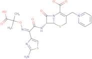 Ceftazidime - Bio-X ™