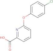 6-(4-Chlorophenoxy)pyridine-2-carboxylic acid