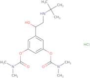 Bambuterol HCl - Bio-X ™