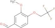 3-Methoxy-4-(2,2,2-trifluoroethoxy)benzaldehyde