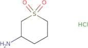 3-amino-1-thiane-1,1-dione hydrochloride