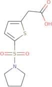 2-[5-(Pyrrolidine-1-sulfonyl)thiophen-2-yl]acetic acid