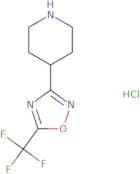 4-[5-(Trifluoromethyl)-1,2,4-oxadiazol-3-yl]piperidine hydrochloride