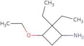 3-Ethoxy-2,2-diethylcyclobutan-1-amine