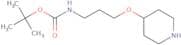 tert-Butyl N-[3-(piperidin-4-yloxy)propyl]carbamate