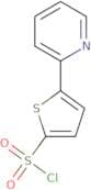 5-(2-Pyridyl)thiophene-2-sulfonyl chloride