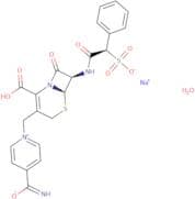 Cefsulodin Sodium Salt Hydrate