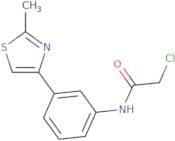 2-Chloro-N-[3-(2-methyl-1,3-thiazol-4-yl)phenyl]acetamide