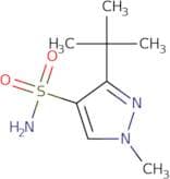 3-(tert-Butyl)-1-methyl-1H-pyrazole-4-sulfonamide