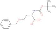 Boc-DL-Hse(Bzl)-OH