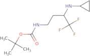 tert-Butyl N-[3-(cyclopropylamino)-4,4,4-trifluorobutyl]carbamate