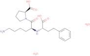 (S)-Lisinopril - Bio-X ™