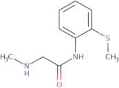 2-(Methylamino)-N-[2-(methylsulfanyl)phenyl]acetamide