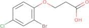 3-(2-Bromo-4-chlorophenoxy)propanoic acid