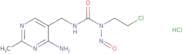 Nimustine HCl - Bio-X ™