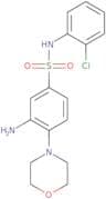 3-Amino-N-(2-chlorophenyl)-4-(morpholin-4-yl)benzene-1-sulfonamide