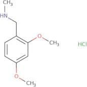 [(2,4-dimethoxyphenyl)methyl](methyl)amine hydrochloride