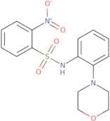 (2-morpholin-4-ylphenyl)((2-nitrophenyl)sulfonyl)amine