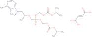 Tenofovir disoproxil fumarate - Bio-X ™