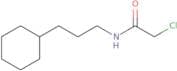 2-Chloro-N-(3-cyclohexylpropyl)acetamide