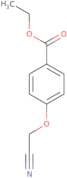 Ethyl 4-(cyanomethoxy)benzoate
