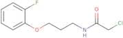 2-Chloro-N-[3-(2-fluorophenoxy)propyl]acetamide