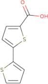 2,2-Bithiophene-5-carboxylic acid