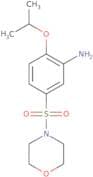 5-(Morpholine-4-sulfonyl)-2-(propan-2-yloxy)aniline