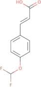 4-(Difluoromethoxy)cinnamic acid